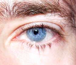 Profil de Xander