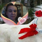Profil de Algia